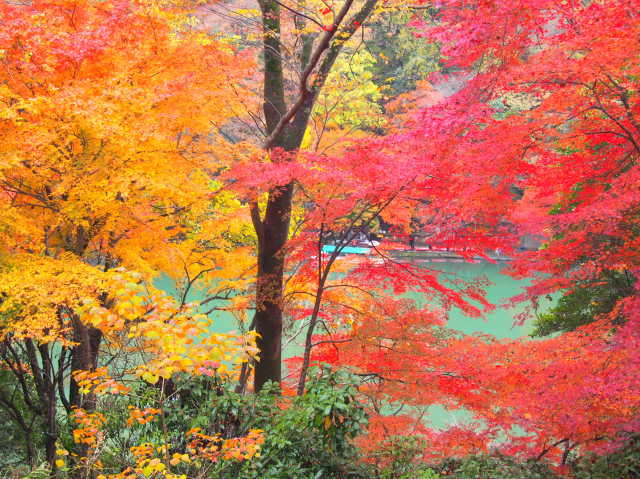亀山公園紅葉画像